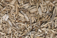 biomass boilers Shenley Wood